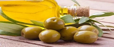 تصویر 3 از خرید و قیمت زیتون پرورده آمل + فروش عمده